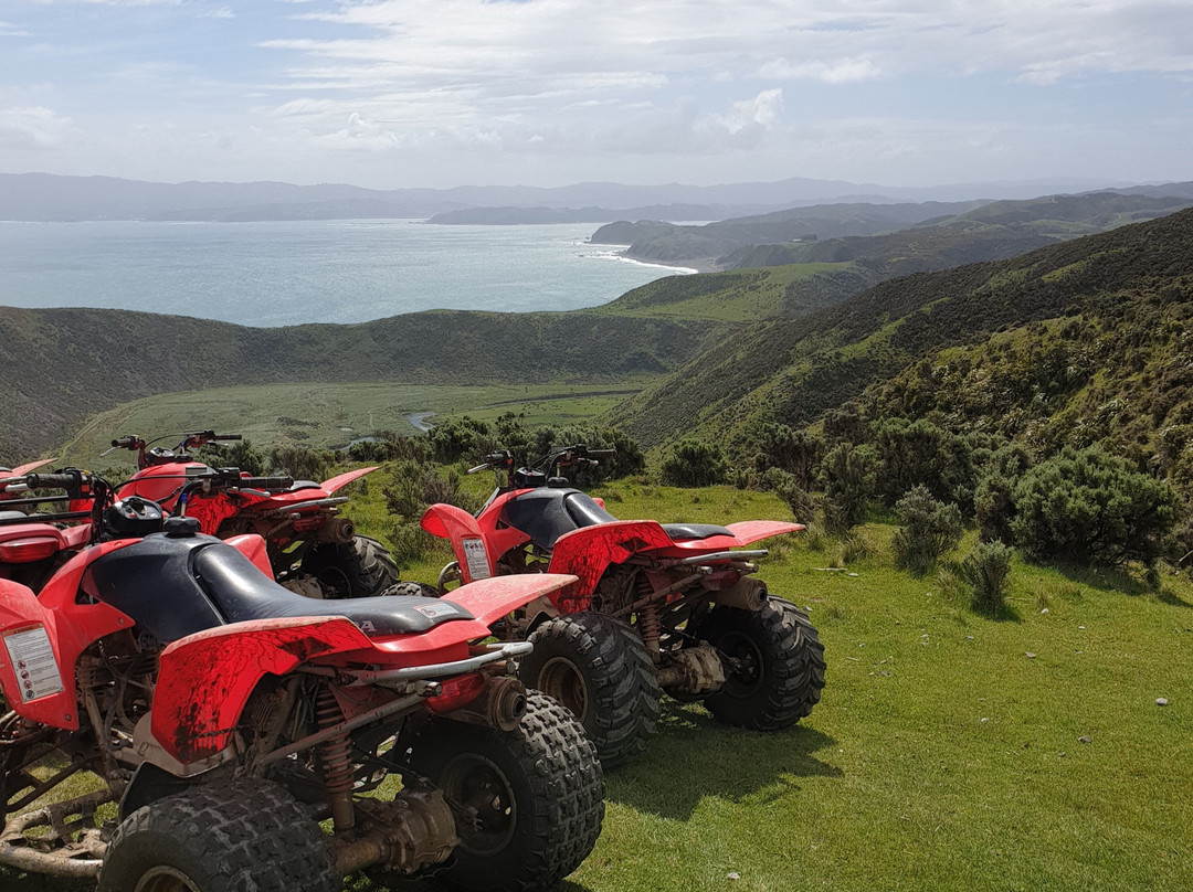 Wellington Adventures - Day Trip-惠灵顿必去景点