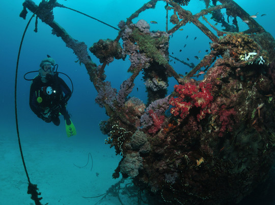 Lady Elliot Island Dive Shop-埃里奥特夫人岛必去景点