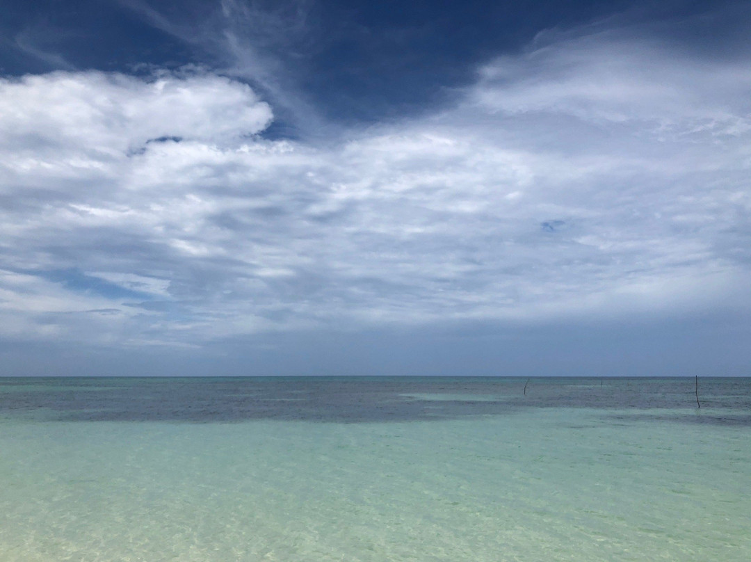 Cayo Jutia Beach景点图片