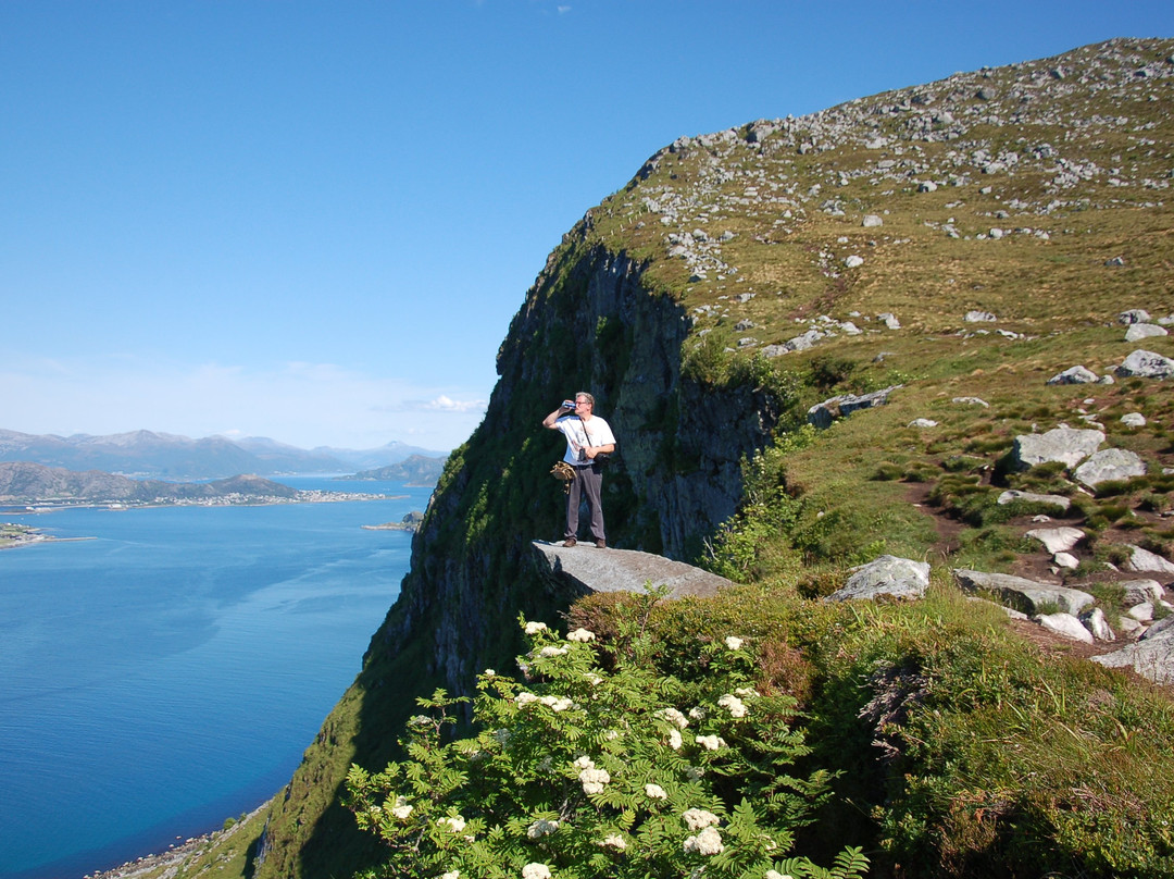 Alnes Active景点图片