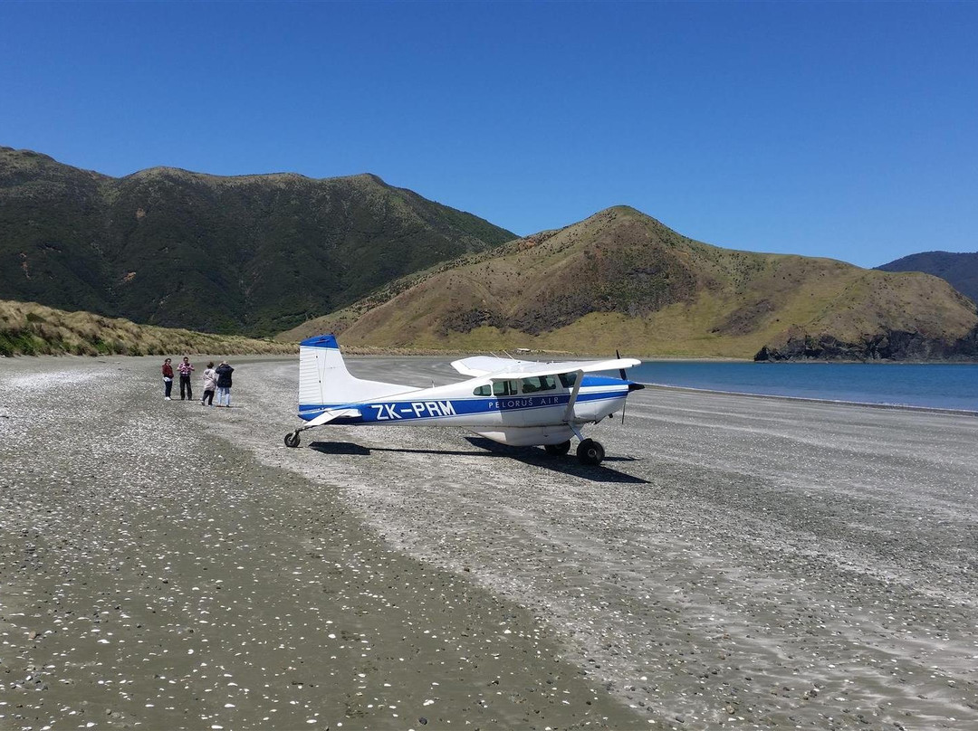 Pelorus Air景点图片