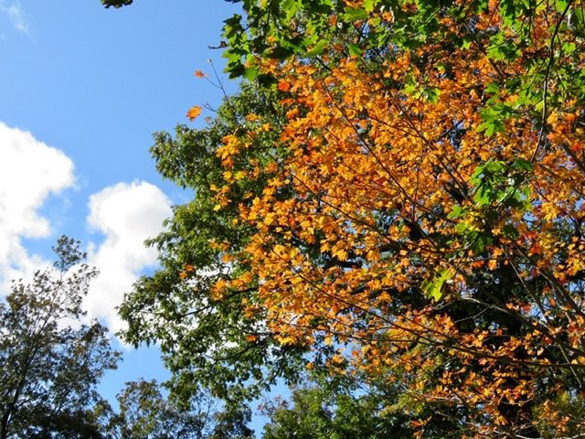 East Rock Park-纽黑文必去景点