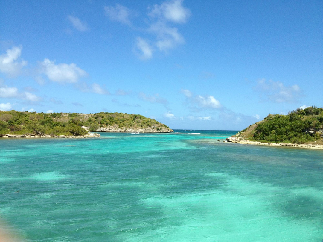 Treasure Island Cruises - Day Tours-安提瓜必去景点