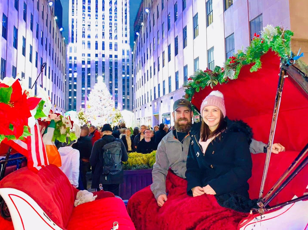 VIP Central Park tours-纽约市必去景点