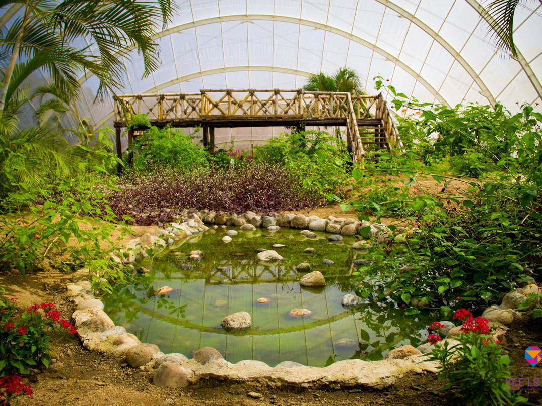 Santa Cruz Xoxocotlan旅游景点-Yee Lo Bee Parque Mariposario