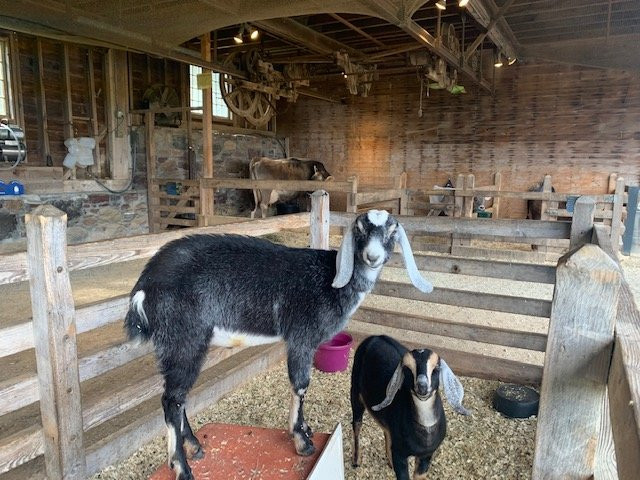 Shelburne Farms Inn主图