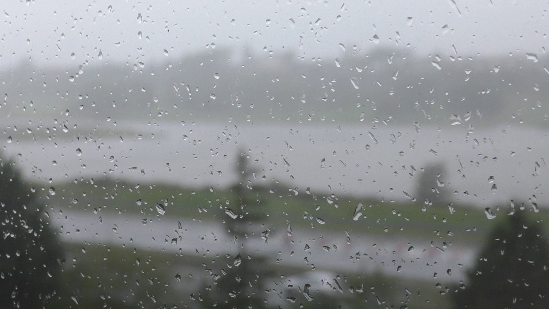 Rochestown Park Hotel-酒店景观