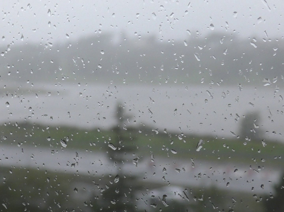 Rochestown Park Hotel主图