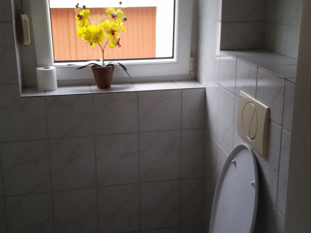 Hotel Weingartner主图
