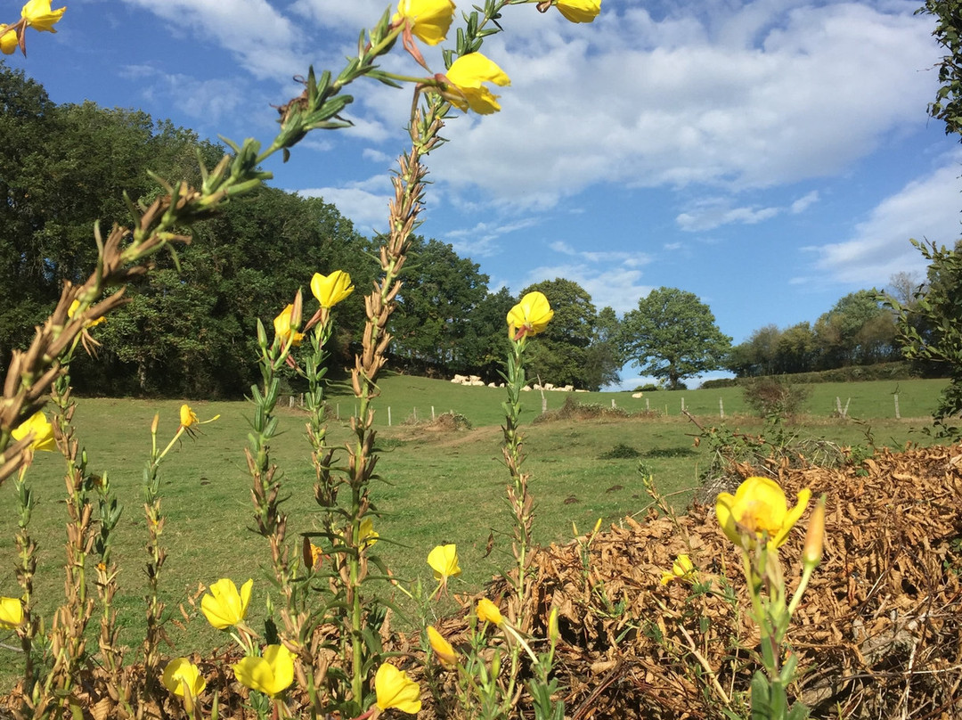 Le Cuisinier en Combraille主图