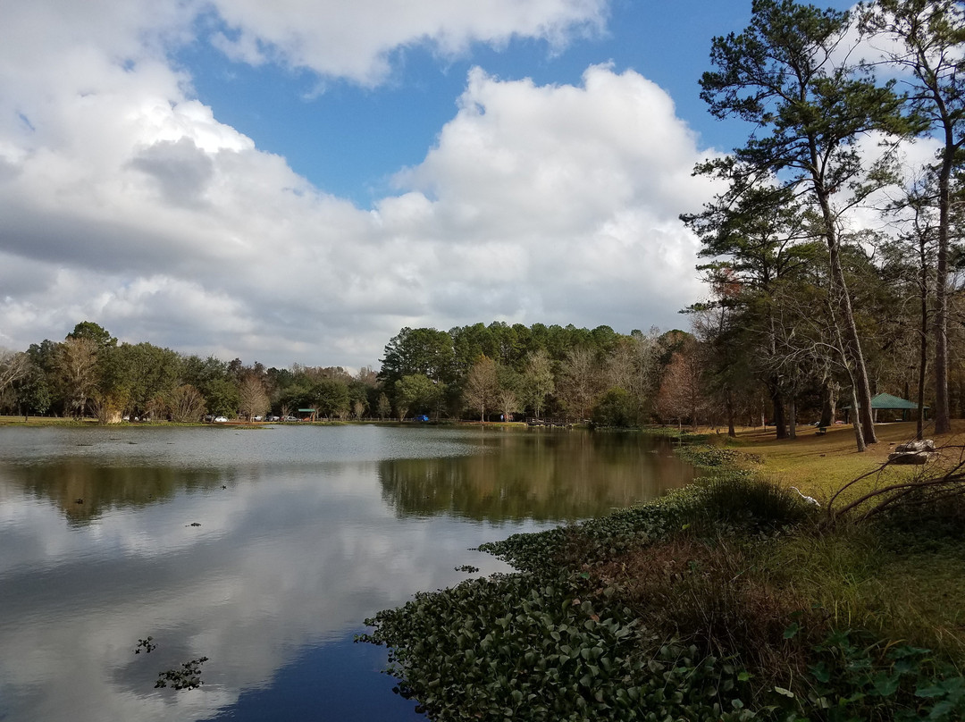 Tom Brown Park-塔拉哈西必去景点