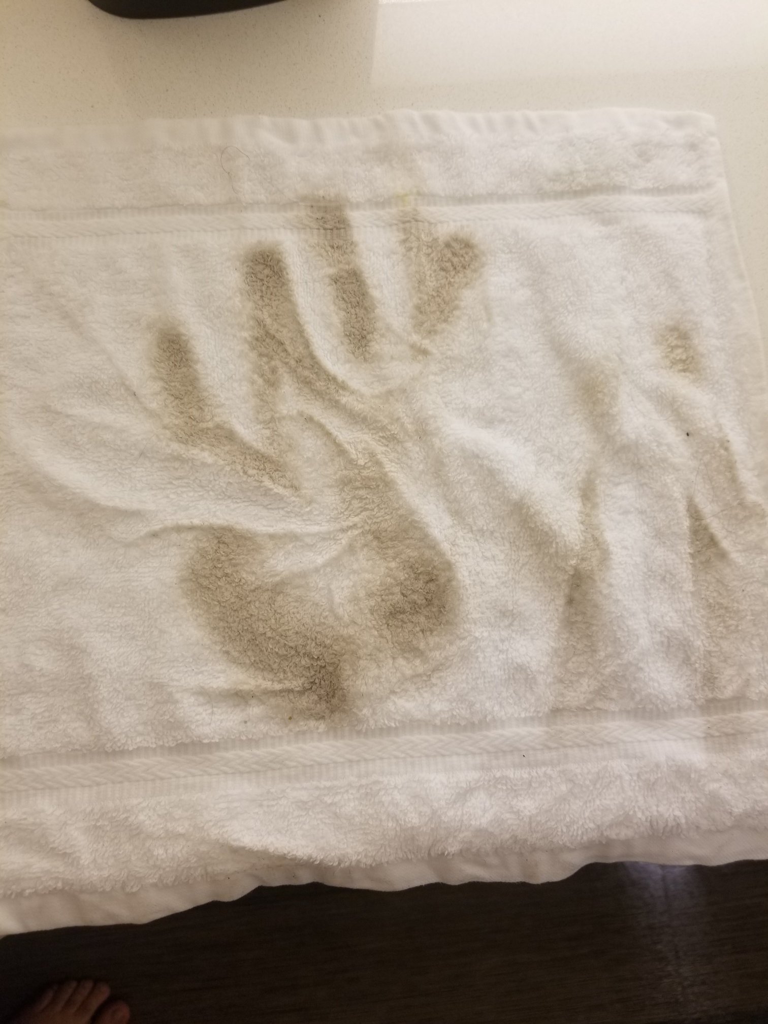 Holiday Inn Newport News - Hampton By IHG-浴室