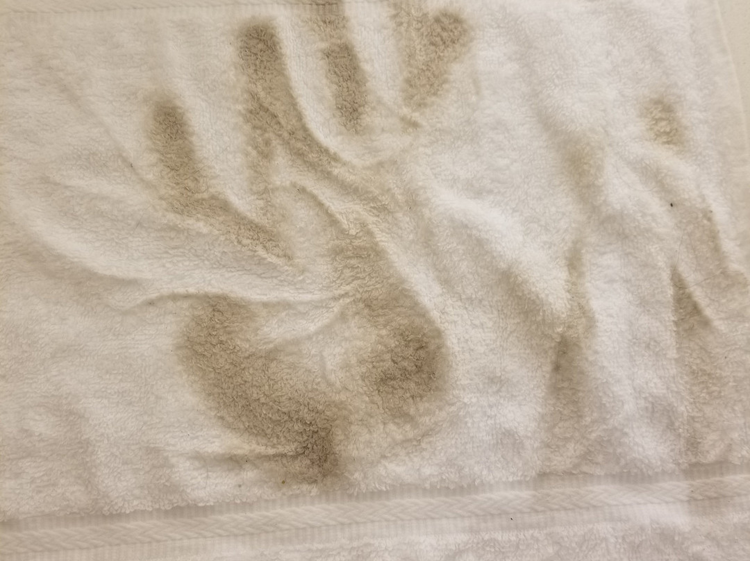 Holiday Inn Newport News - Hampton By IHG主图