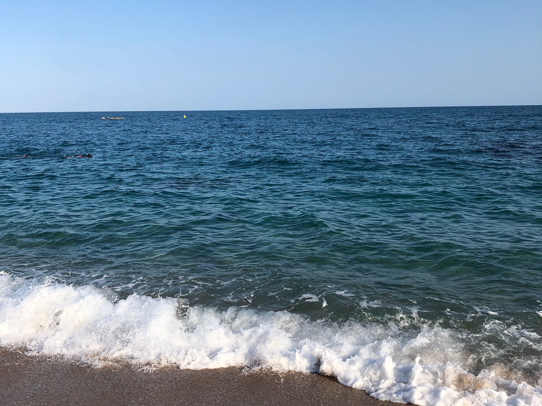 2025年2月Platja de les Roques Blanques景点攻略Platja de les Roques Blanques