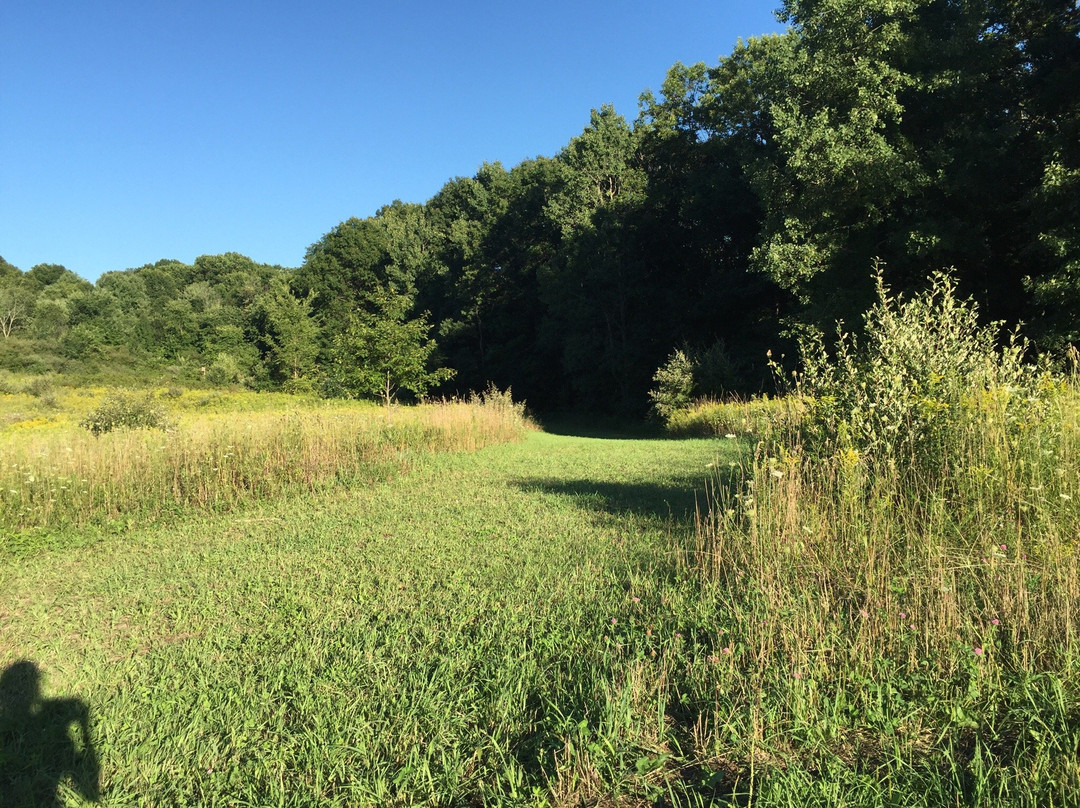 Seidman Park景点图片