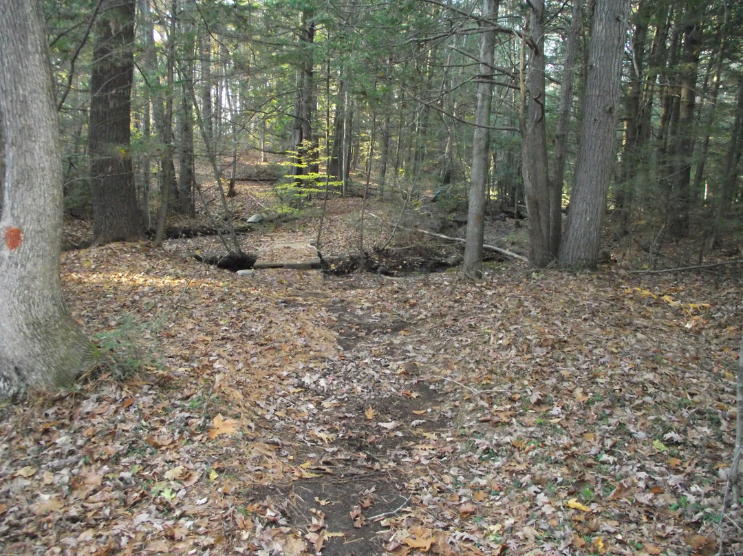 Penny Woods Recreational Trail景点图片