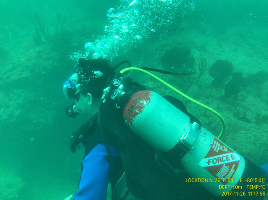 Force-E Pompano Beach