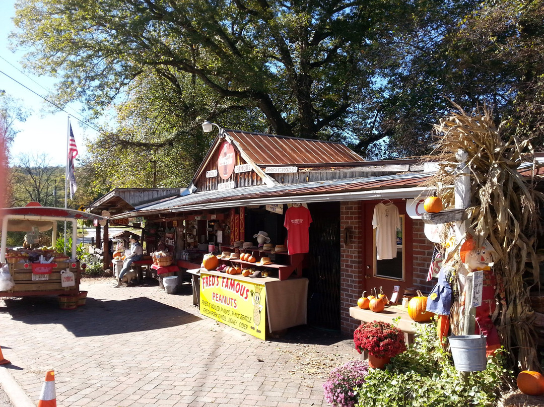 Fred's Famous Peanuts-海伦必去景点