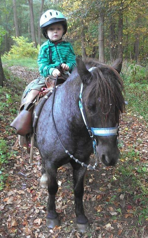 Gold Rush Farms, LLC