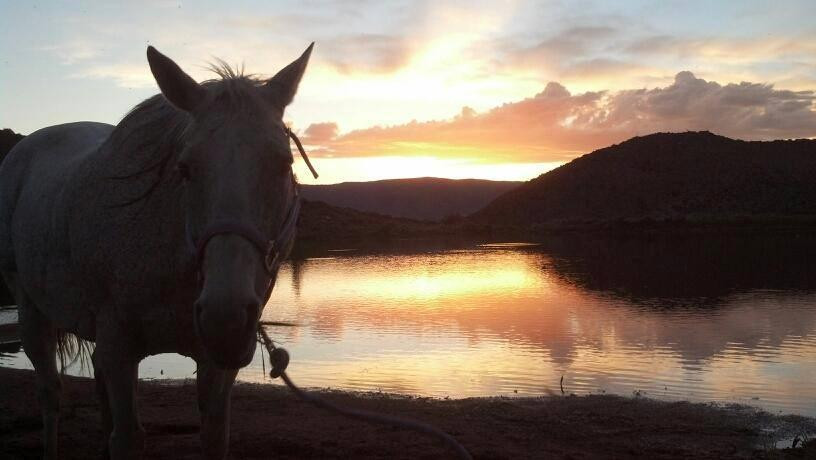 E & H Guide Service-拉勒米必去景点