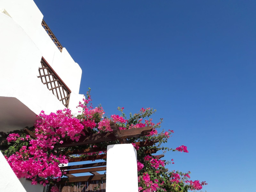 Hotel Amoopi Bay主图