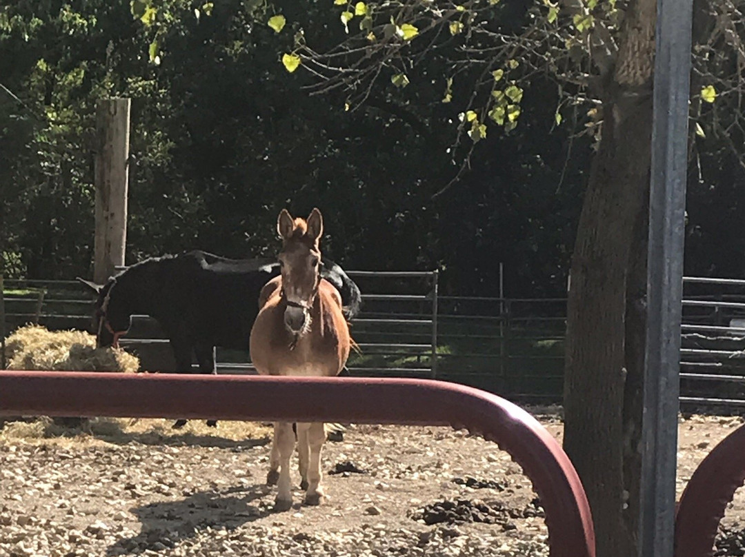 Illinois & Michigan Canal State Trail-LaSalle必去景点