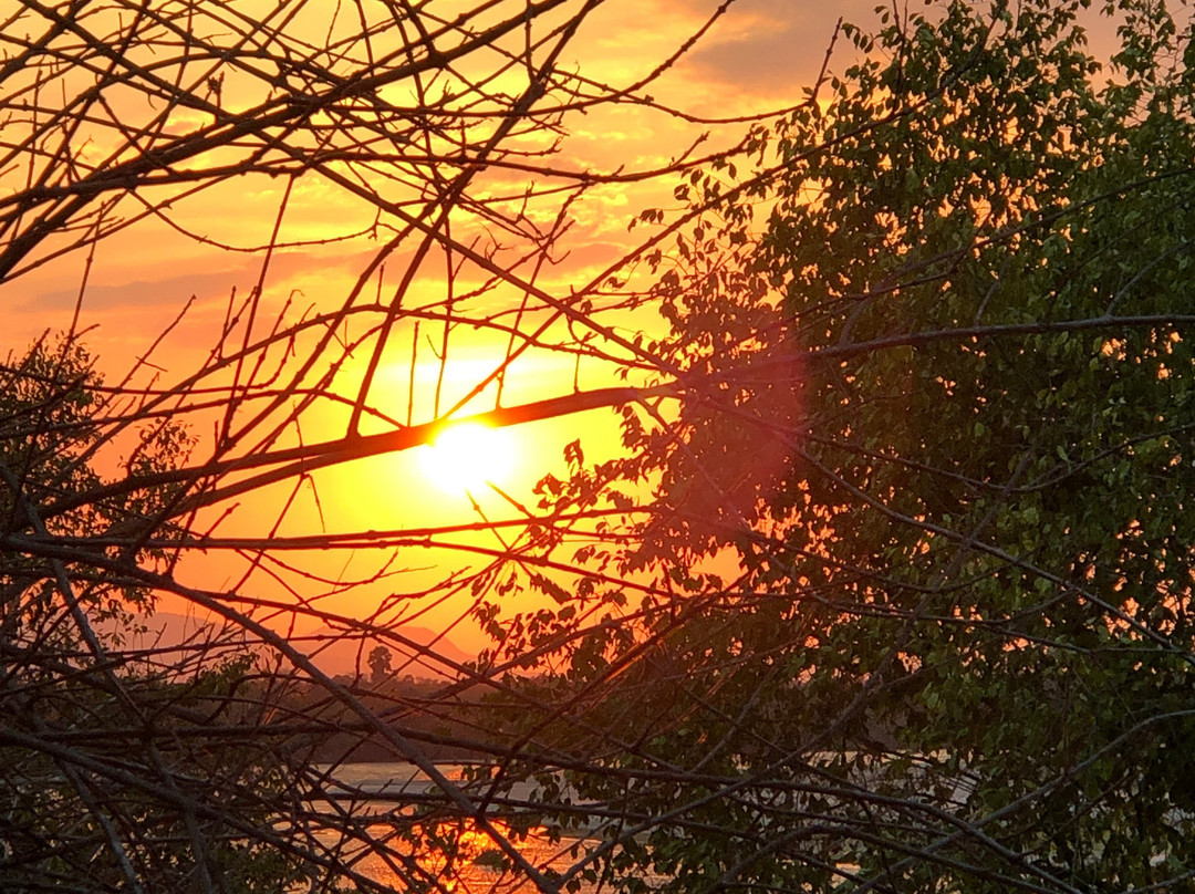 Rufiji River Camp主图