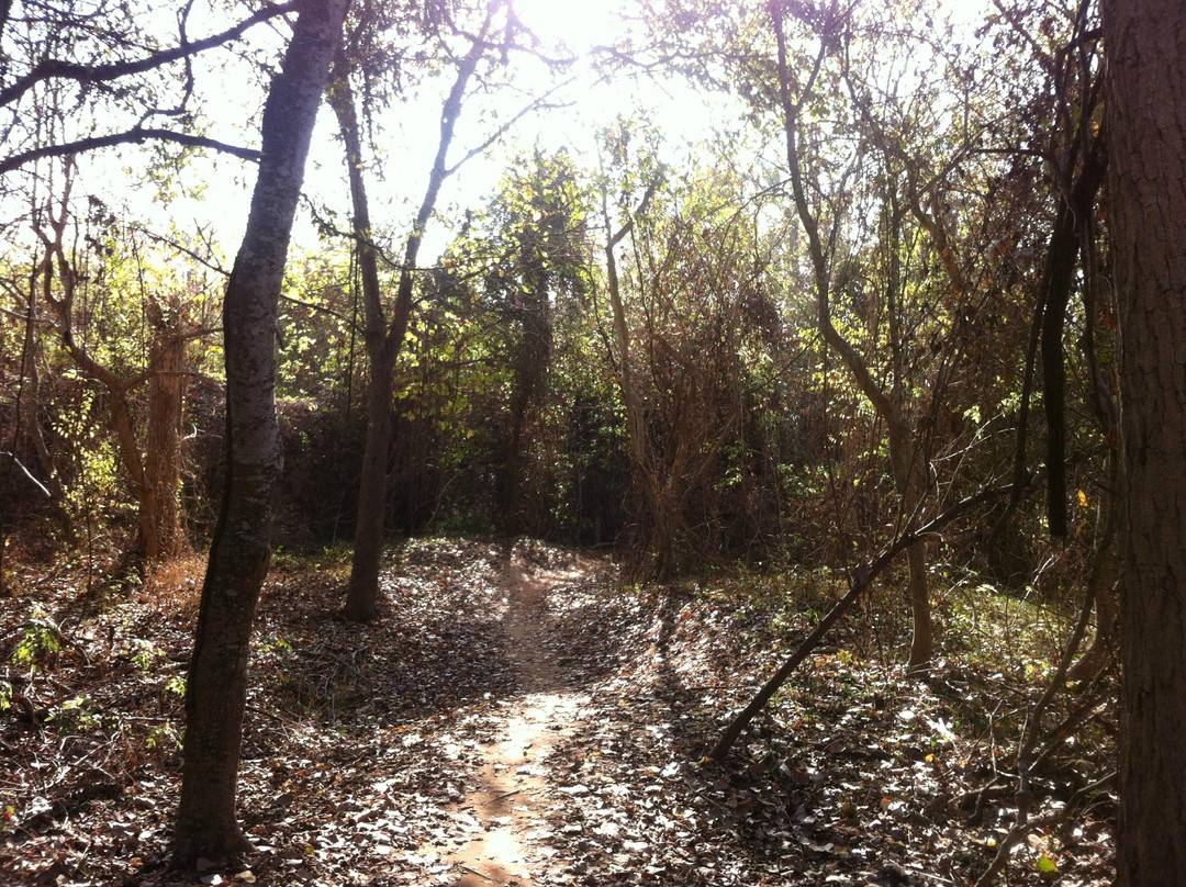 Justin P. Brindley Trail-舒格兰必去景点