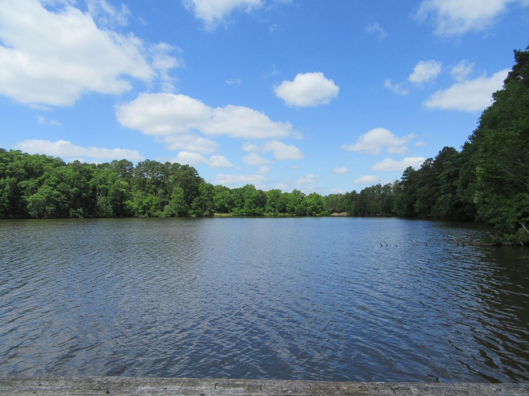 Chester State Park景点图片