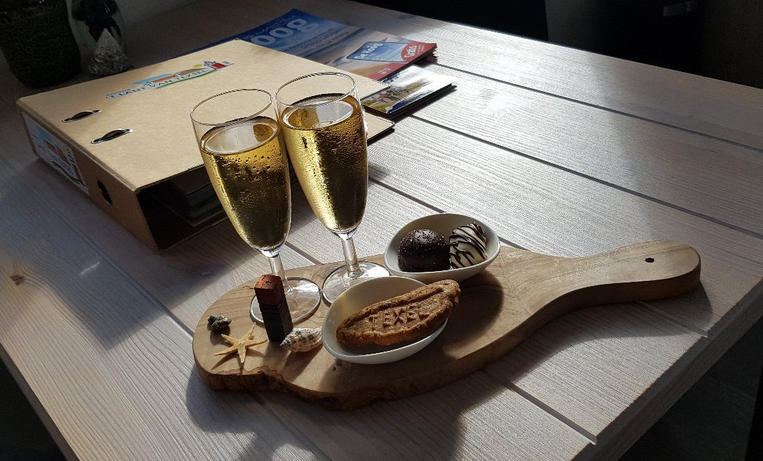 'T lant van Texsel主图