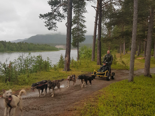 Stengelsen husky-阿尔塔必去景点