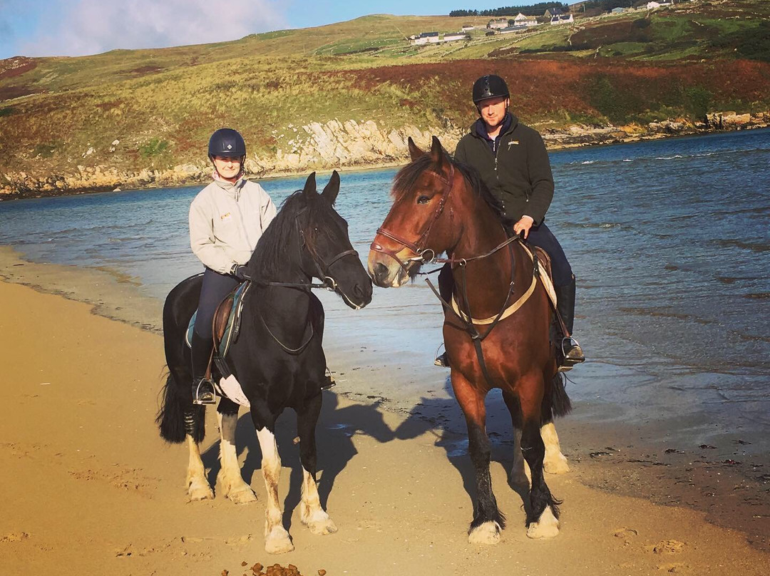 Dunfanaghy Stables-Dunfanaghy必去景点