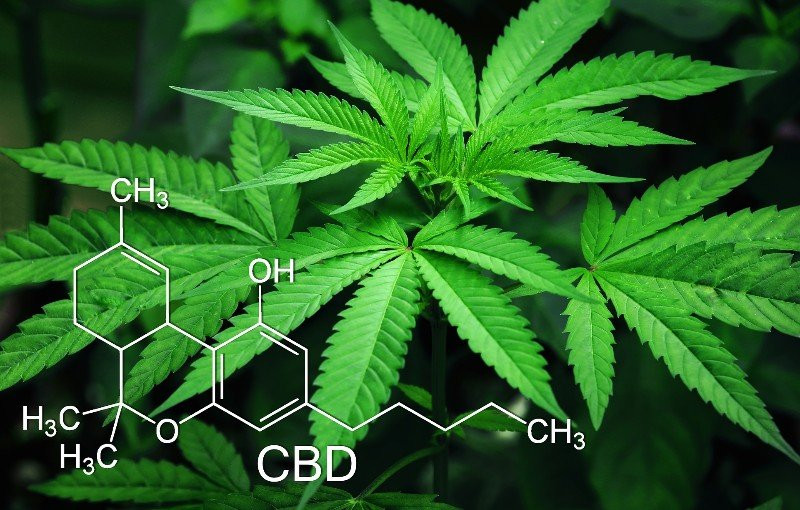 Brio Spa-新瓦雅塔必去景点