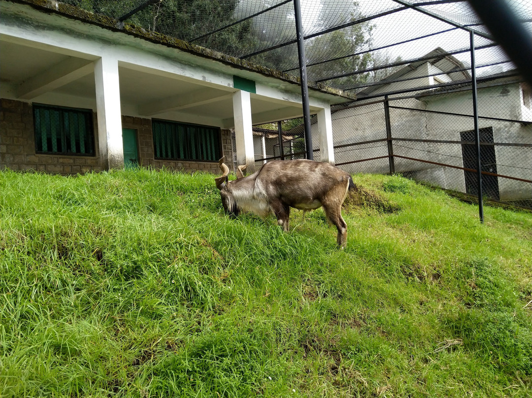 Nainital Zoo景点图片