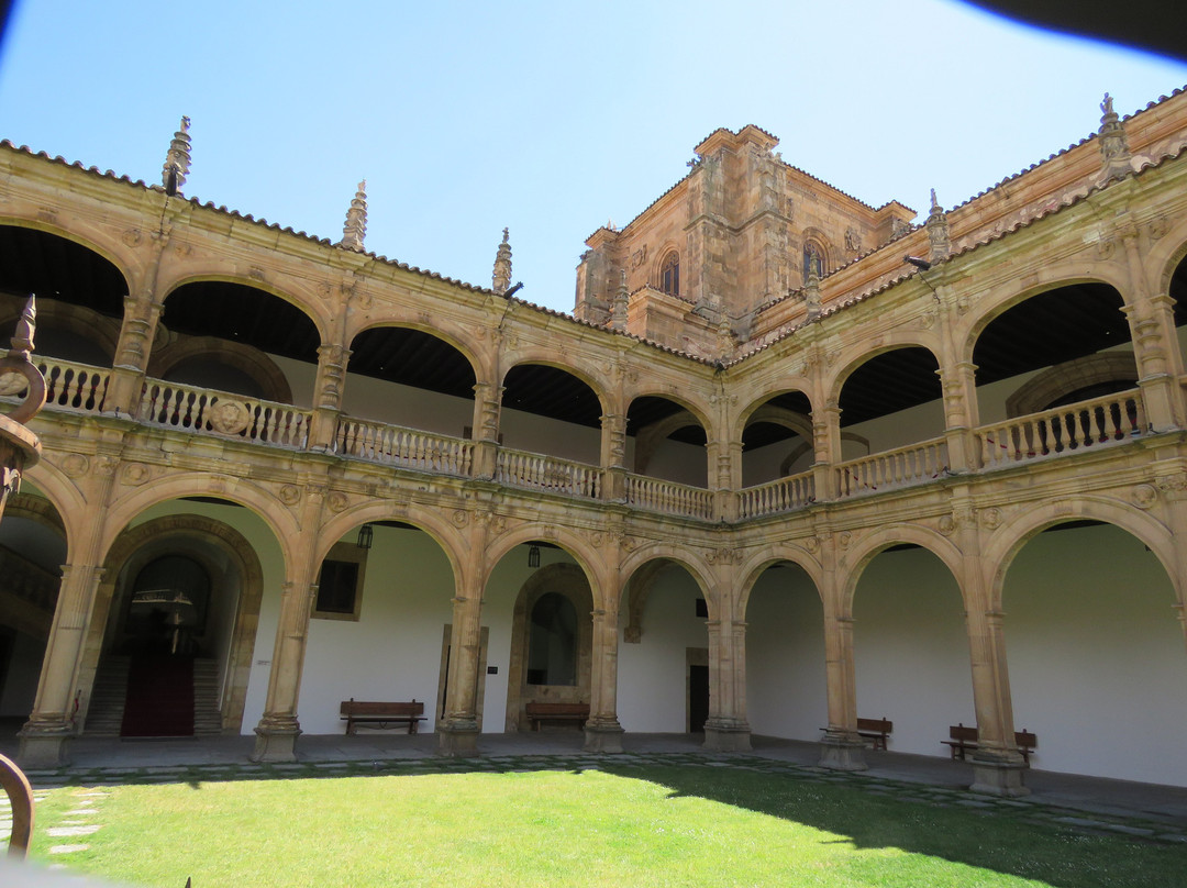 Colegio Mayor Arzobispo Fonseca (Archbishop Fonseca College)景点图片