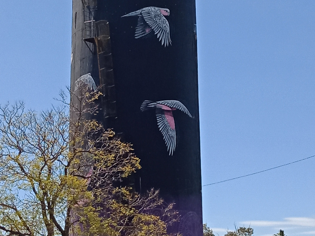Coonamble Water Tower-Coonamble必去景点