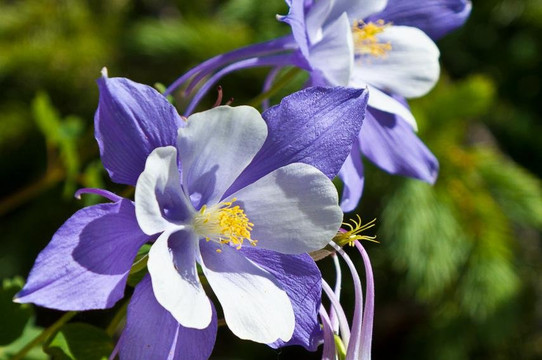 Colorado Photo Workshops-杜兰戈必去景点