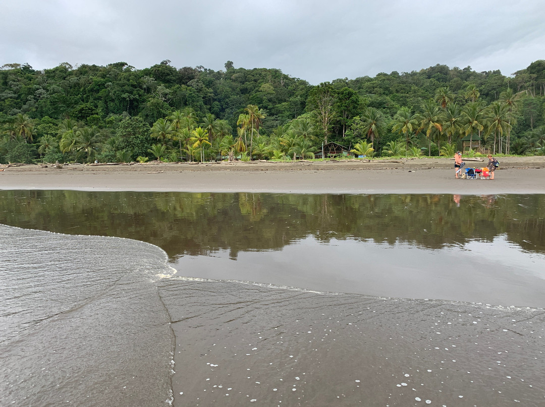 Ecolodge El Almejal主图