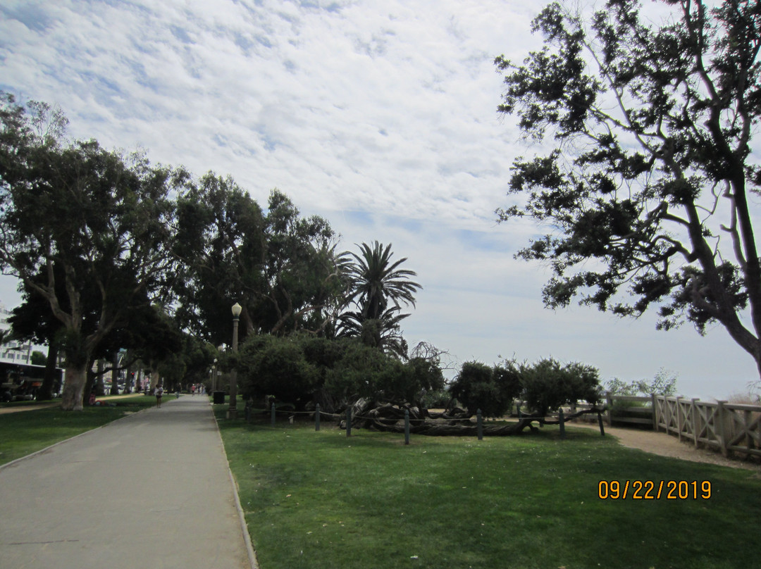 Ocean View Park-圣莫尼卡必去景点