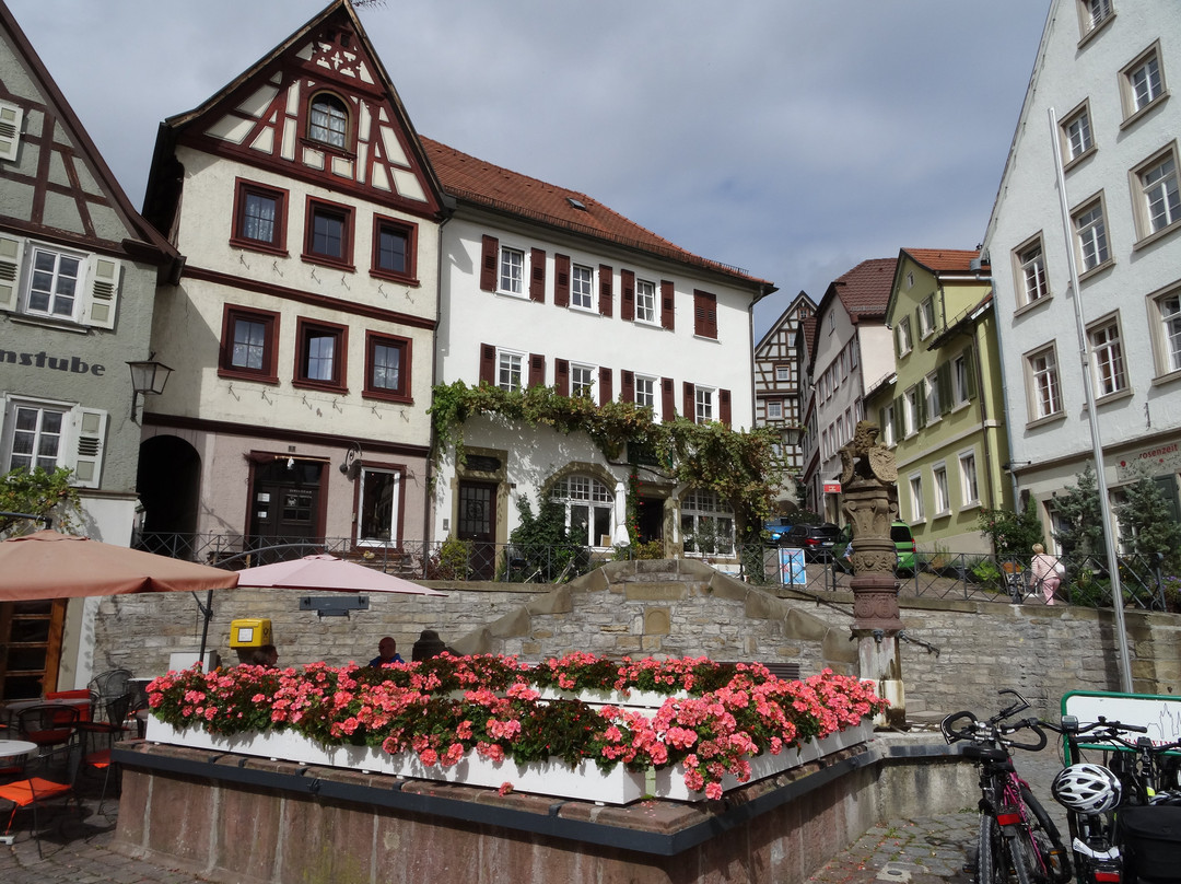 Rathaus Bad Wimpfen景点图片