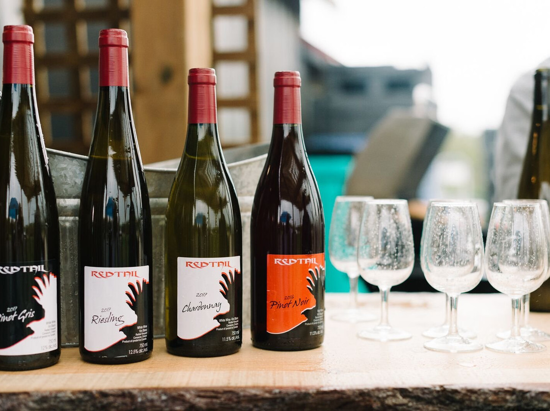 Redtail Vineyards-Consecon必去景点