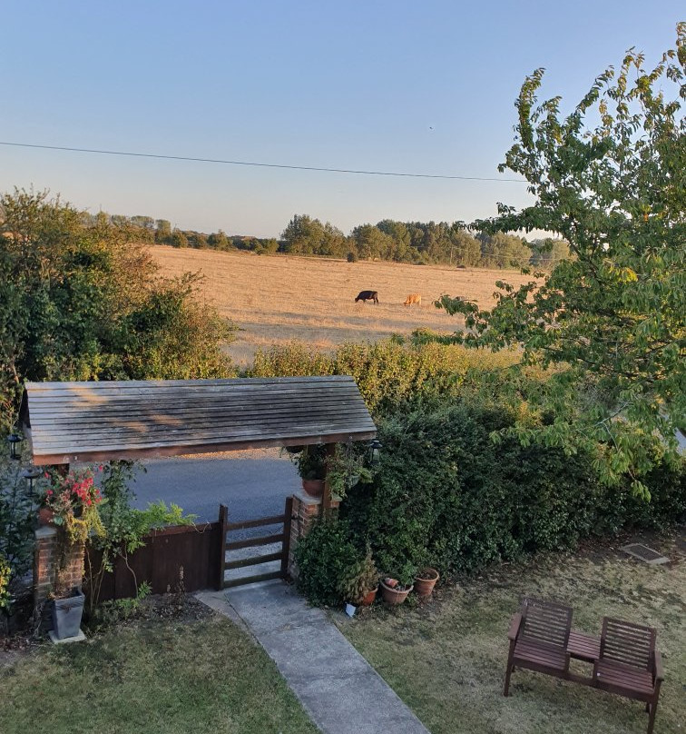 The Pebbles Cottage Guest House主图