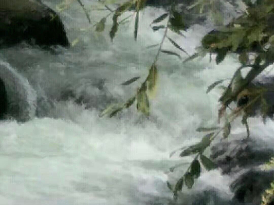 望天鹅风景区-长白朝鲜族自治县必去景点