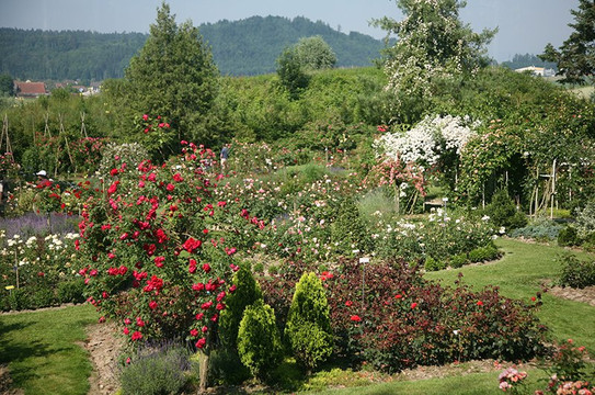 Richard Huber AG-Dottikon必去景点