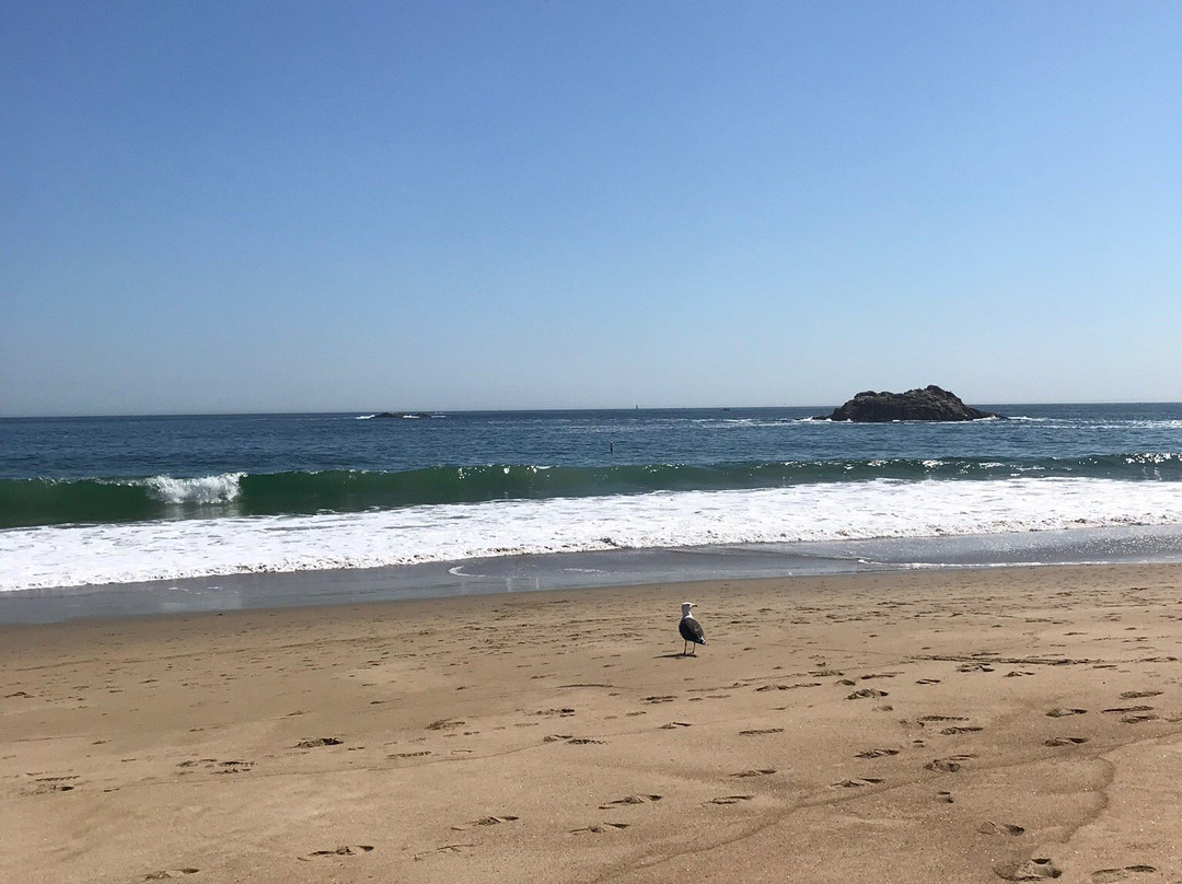 Singing Beach景点图片