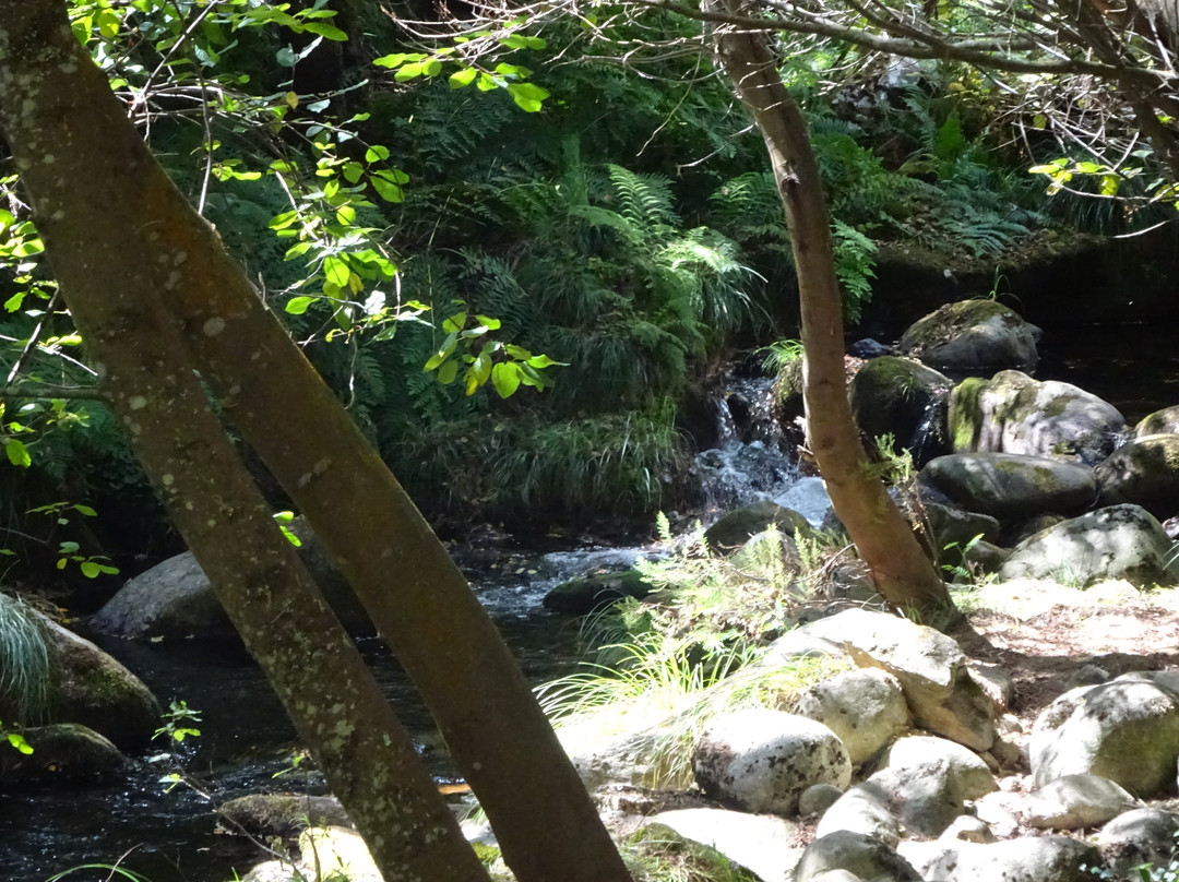 Termas Prexigueiro景点图片