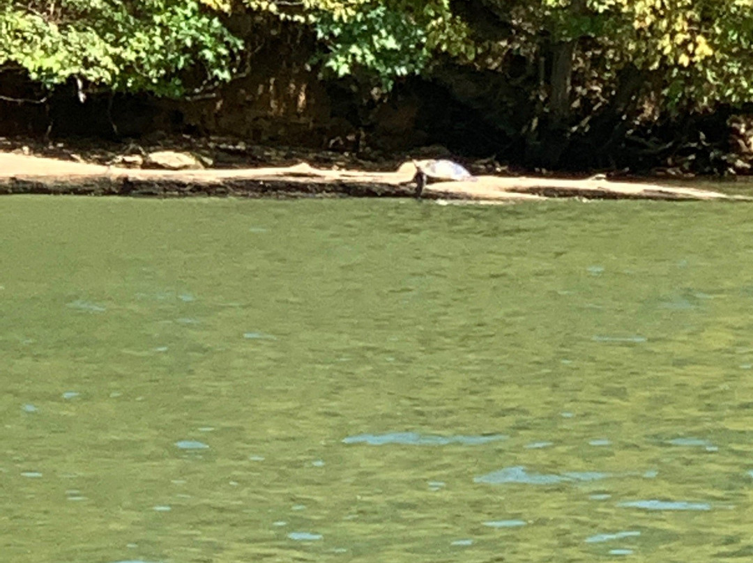 Canoe Kayak Chattanooga-Whitwell必去景点