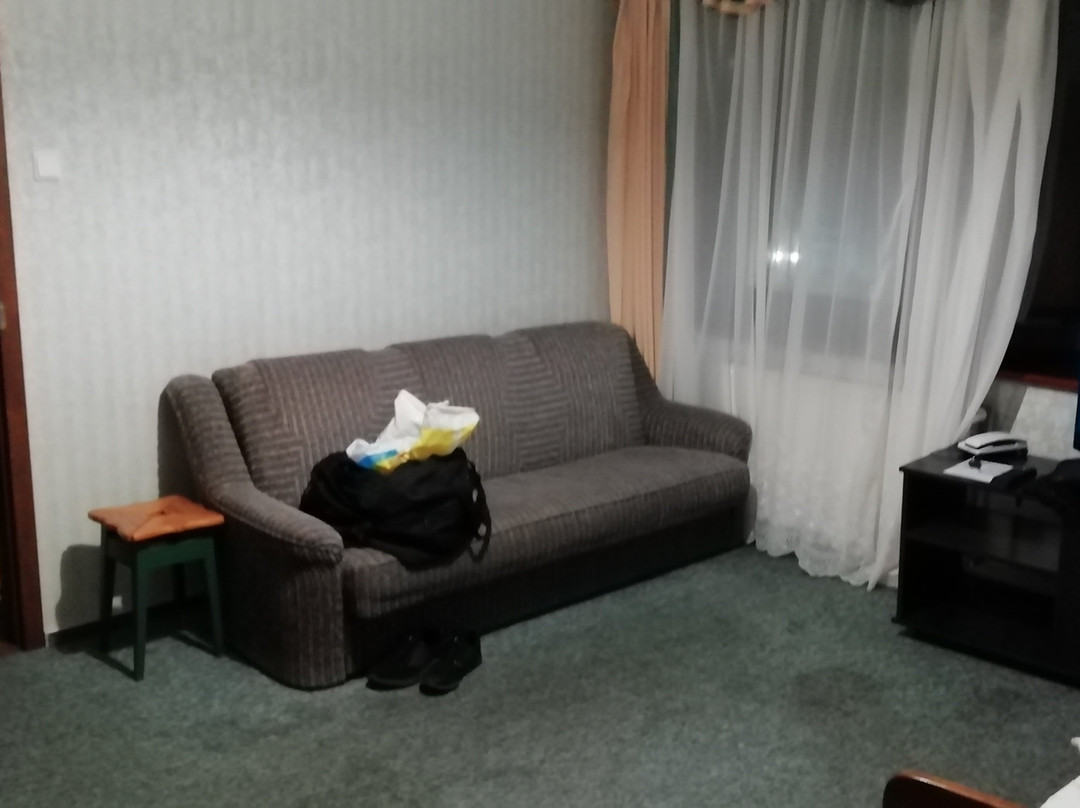 Hotel Litwinski主图
