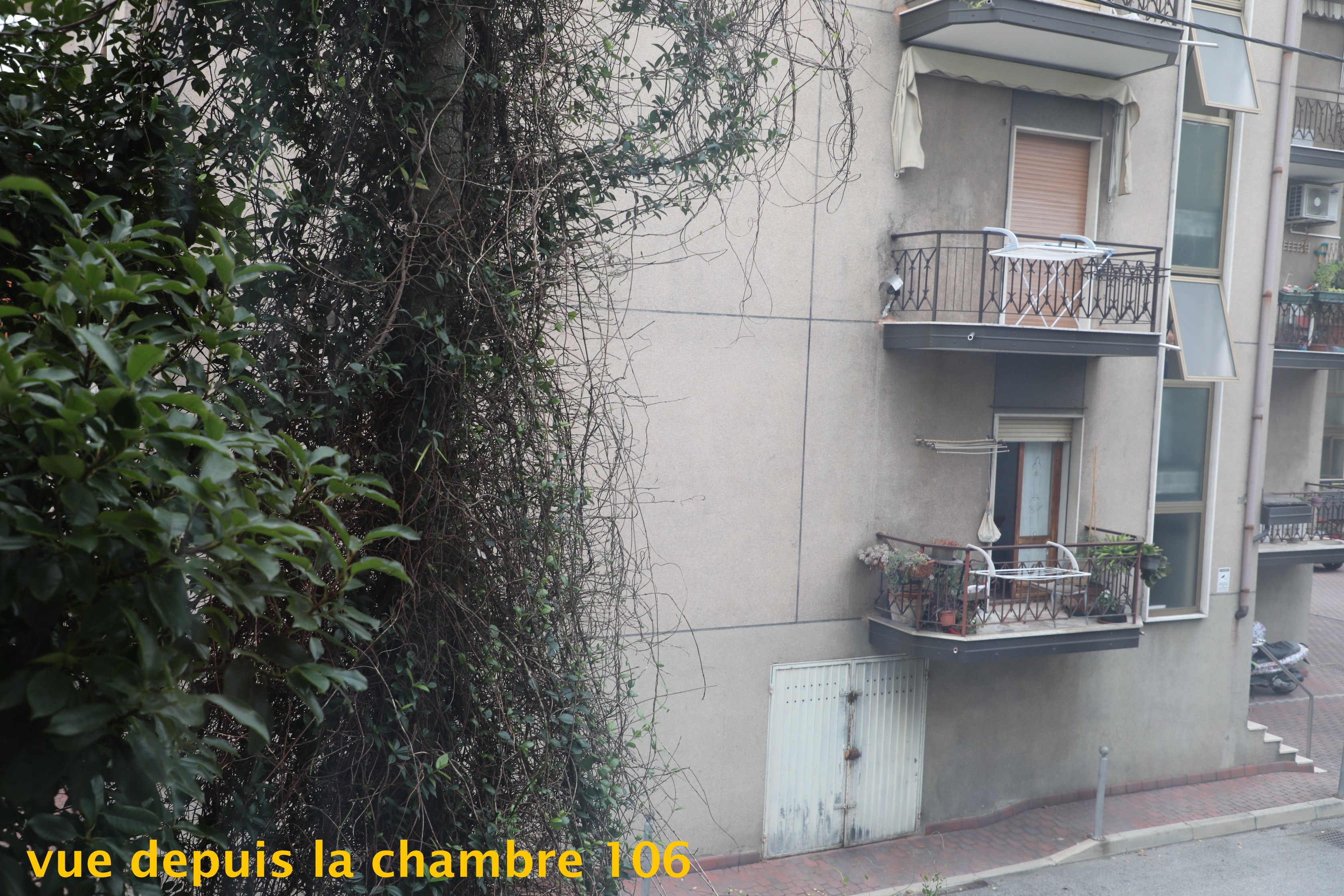 亚历山大酒店 -酒店景观