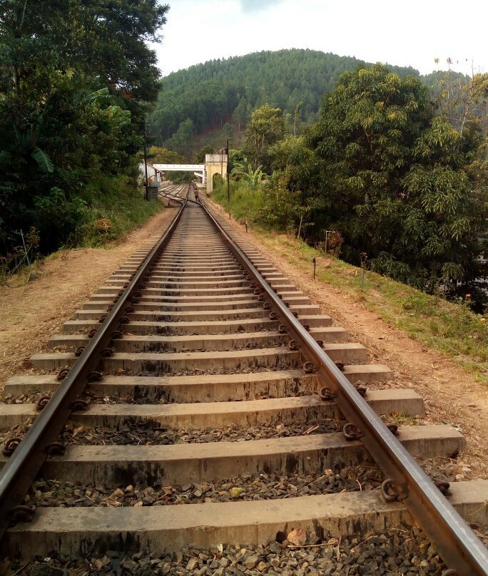 Ella Suwsetha Piyasa & Spa-埃勒必去景点